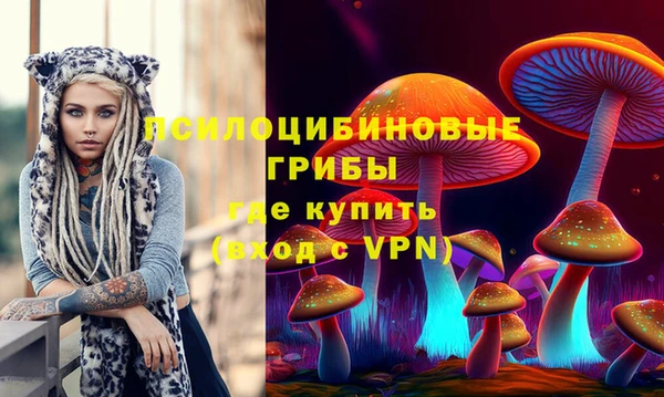 ГАЛЛЮЦИНОГЕННЫЕ ГРИБЫ Заволжье