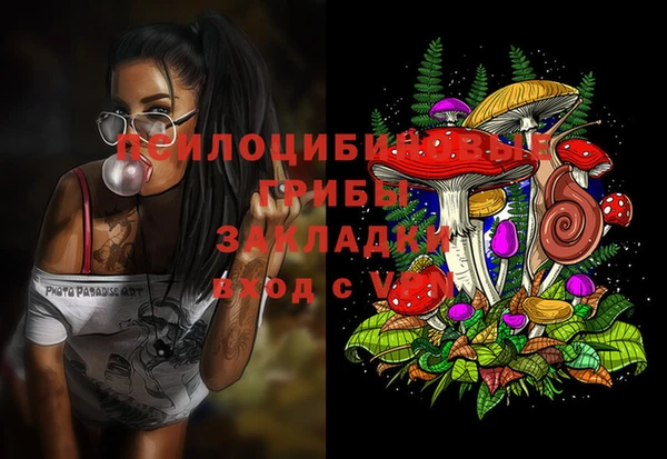 ГАЛЛЮЦИНОГЕННЫЕ ГРИБЫ Заволжье
