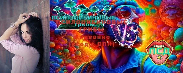 ECSTASY Заводоуковск
