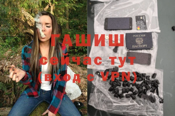 сатива Заволжск