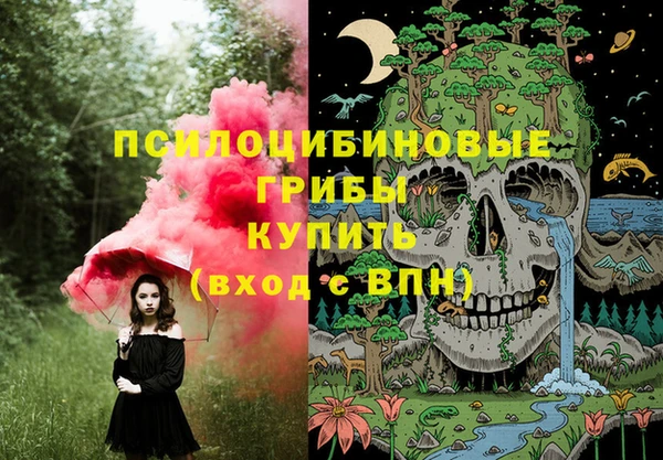сатива Заволжск