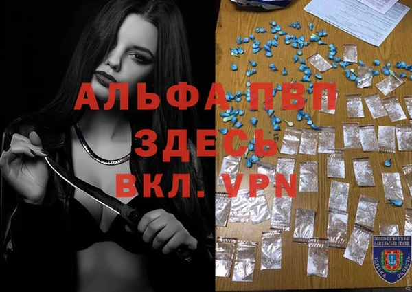 ГАЛЛЮЦИНОГЕННЫЕ ГРИБЫ Заволжье