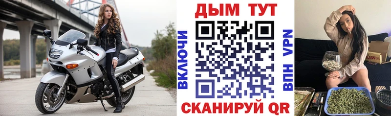 Каннабис SATIVA & INDICA  Купить где  Сорск 
